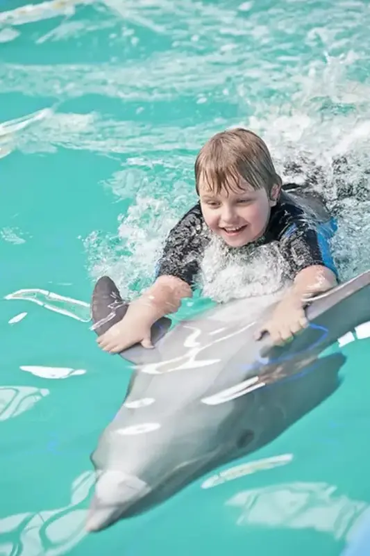 Dubai Dolphinarium (Dubai Dolphin Show)