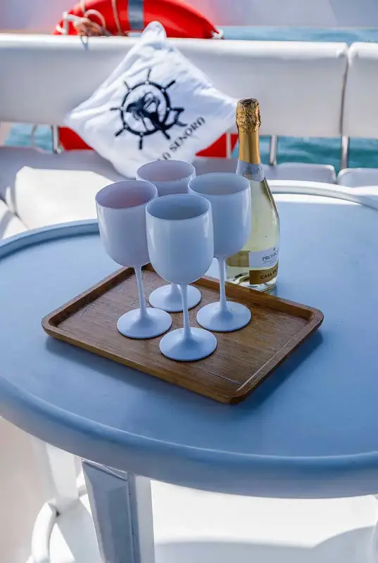 Private Sea Senora leisure yachts