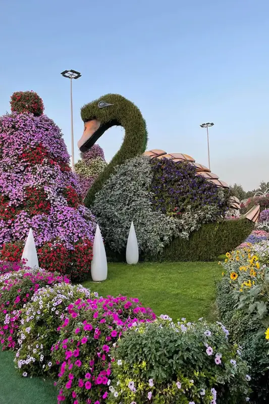 Dubai Butterfly Garden