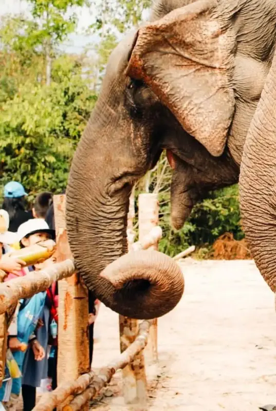 Emirates Park Zoo & Resort