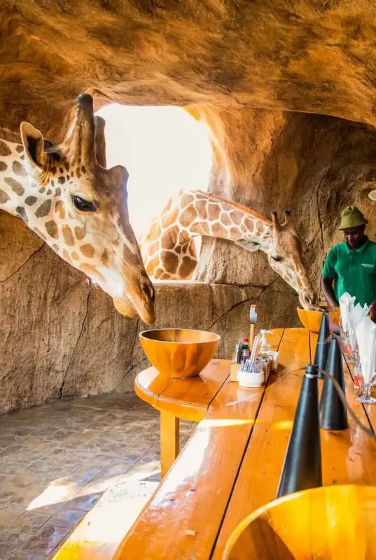 Emirates Park Zoo & Resort