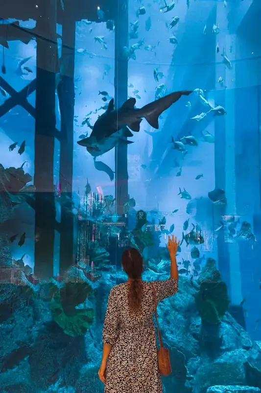 Navigating to the Burj Al Arab