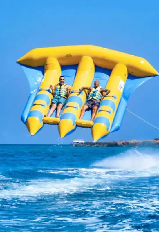 Palm Jumeirah Flyfish Ride