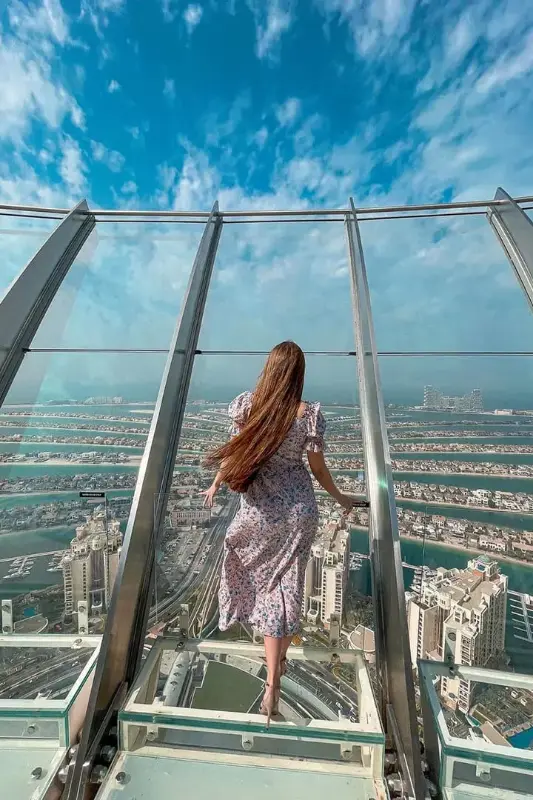 The Green Planet + The View At The Palm