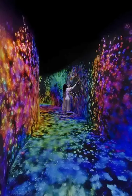 teamLab Phenomena Abu Dhabi