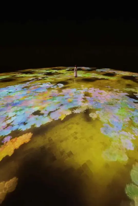teamLab Phenomena Abu Dhabi