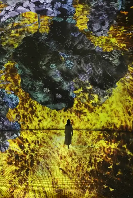 teamLab Phenomena Abu Dhabi