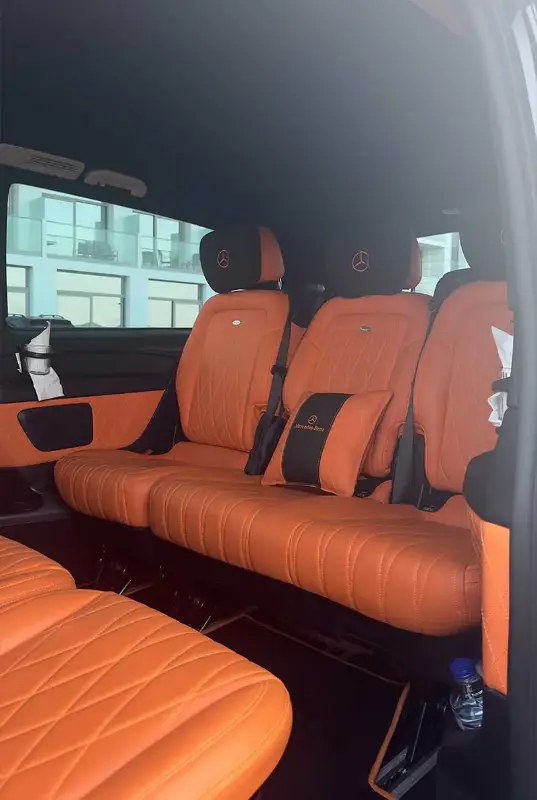 Luxury Mini Van