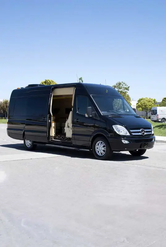 Luxury Mini Bus