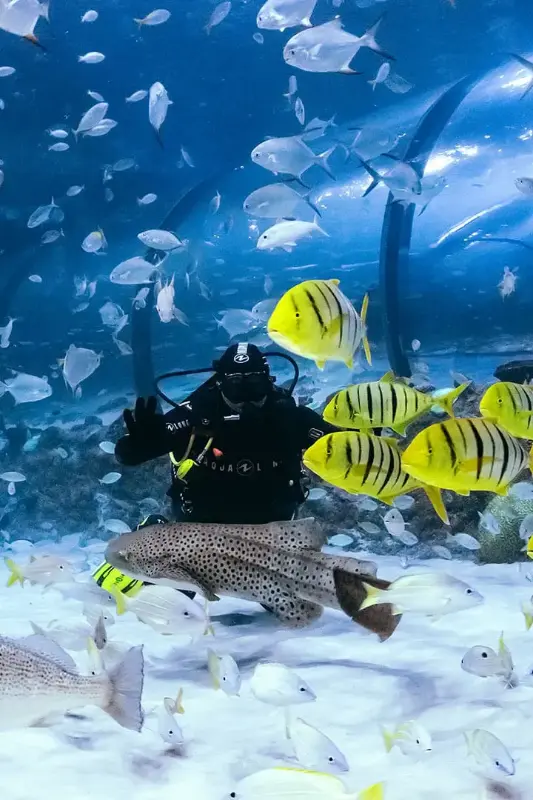 The National Aquarium Abu Dhabi + The Adrenark Adventure + Pixoul Gaming