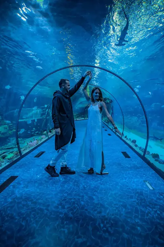 The National Aquarium Abu Dhabi + The Adrenark Adventure + Pixoul Gaming