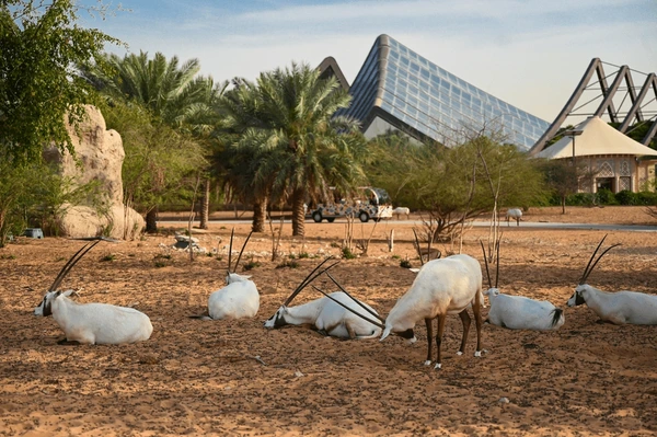 Dubai Safari Park