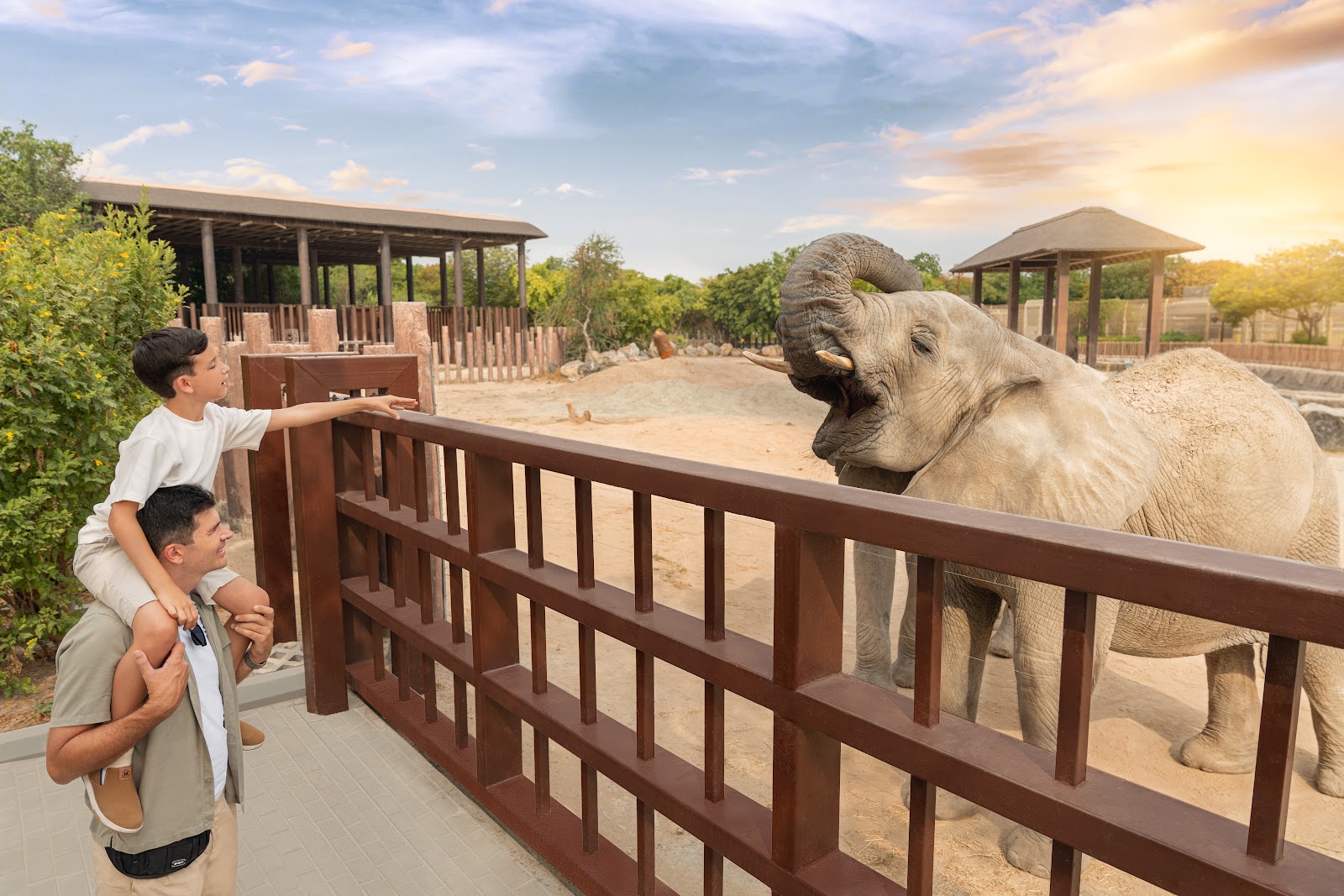 Dubai Safari Park